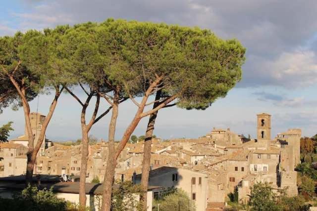 فيلا Casa Sermichelino فيتورشيانو المظهر الخارجي الصورة